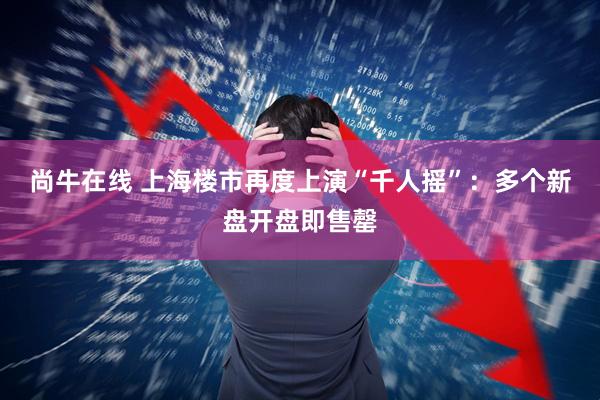 尚牛在线 上海楼市再度上演“千人摇”：多个新盘开盘即售罄